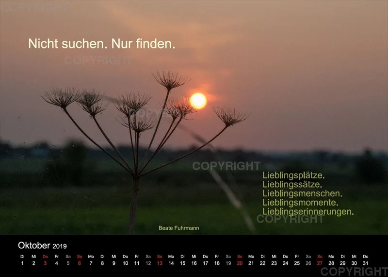 Fotokalender 2019
