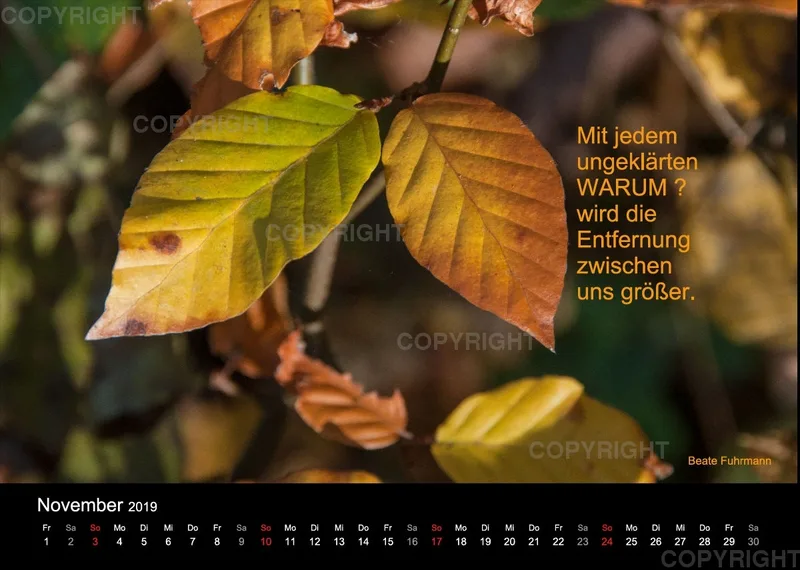 Fotokalender 2019