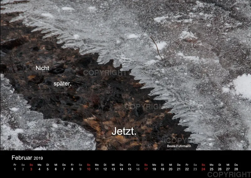 Fotokalender 2019