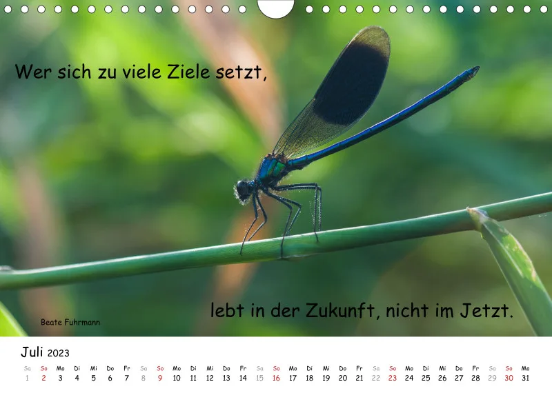 Kalender 2023