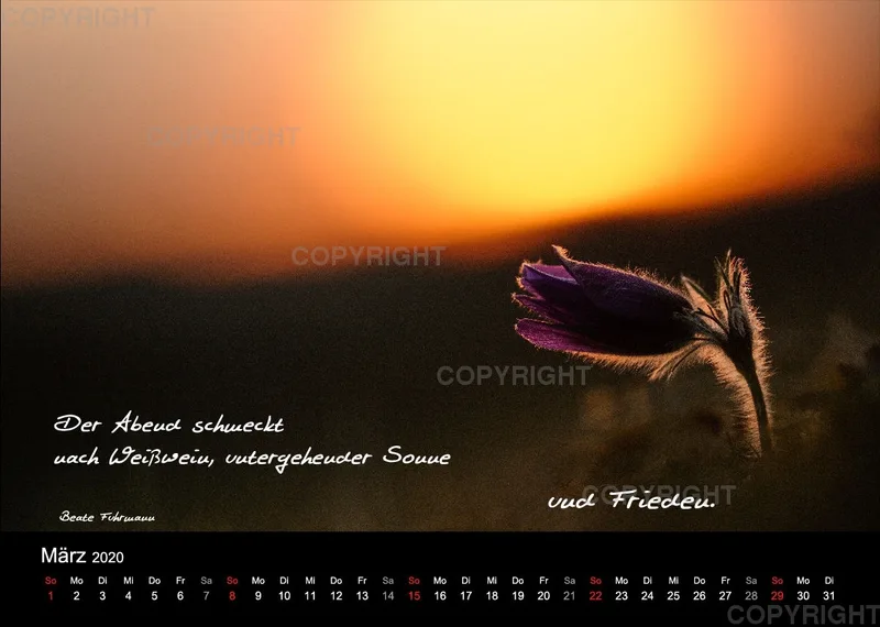 Fotokalender 2020