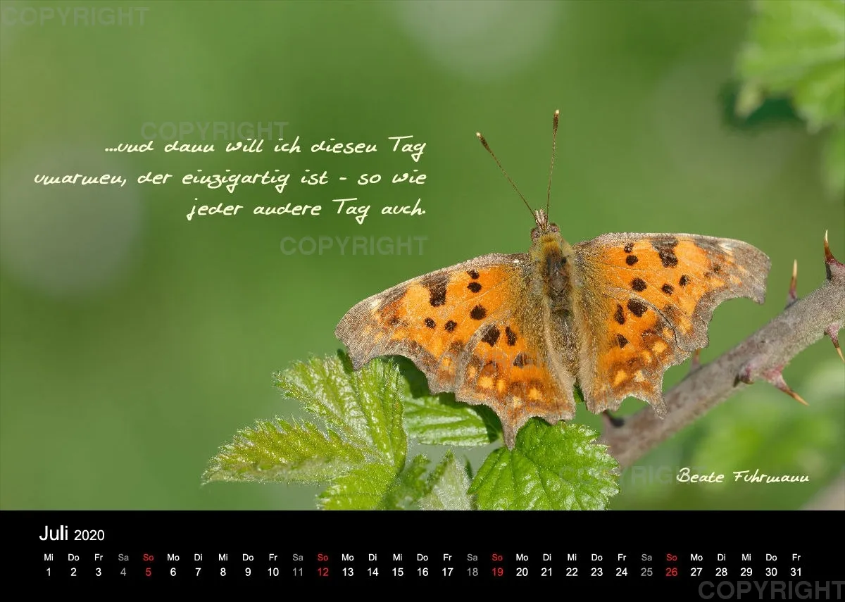 Fotokalender 2020