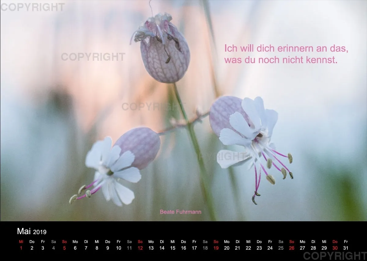 Fotokalender 2019