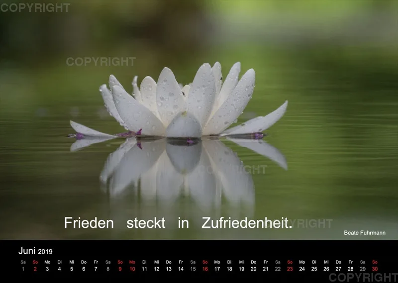 Fotokalender 2019