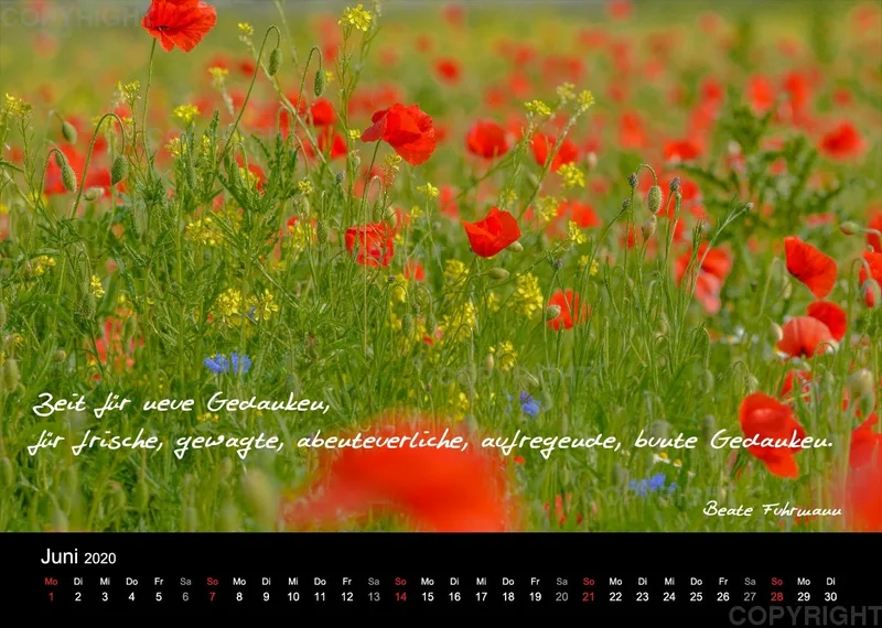 Fotokalender 2020