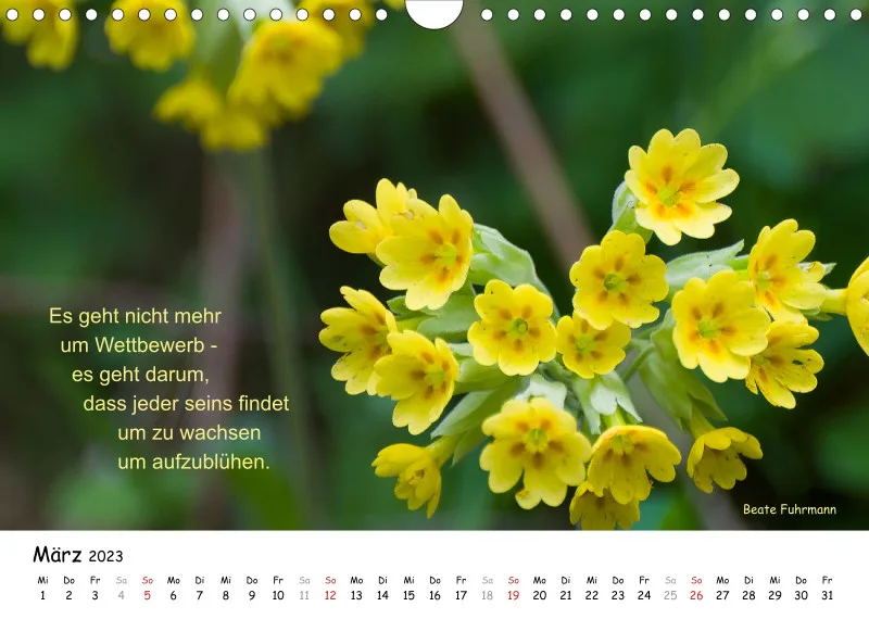 Kalender 2023