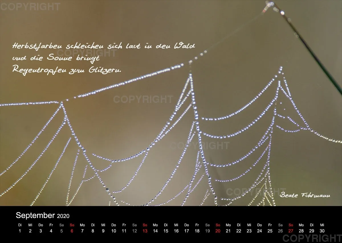 Fotokalender 2020
