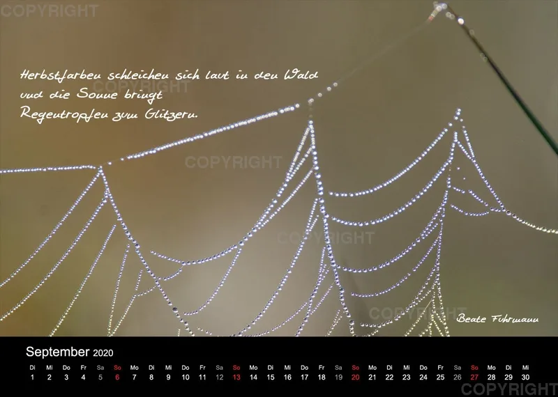 Fotokalender 2020