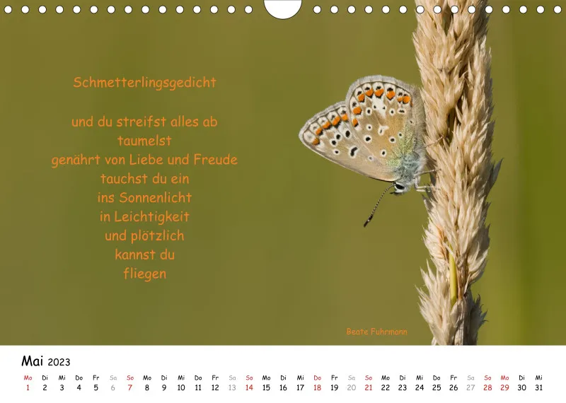 Kalender 2023