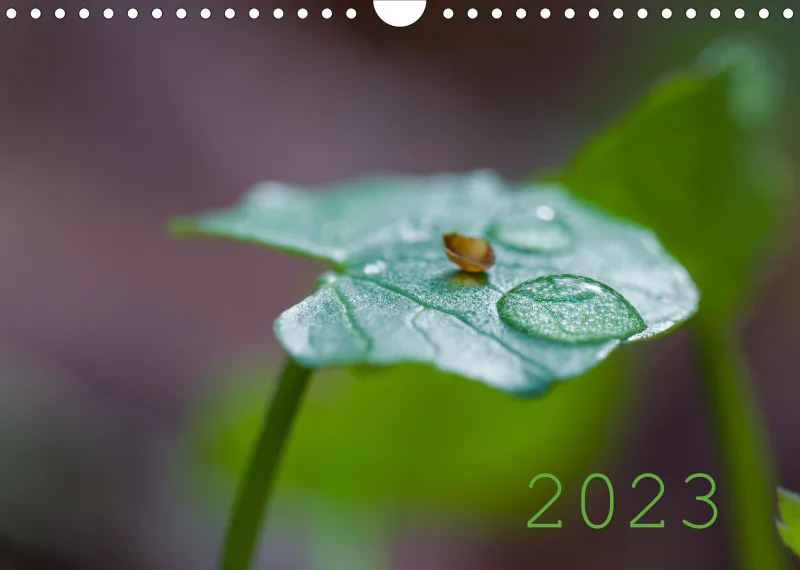 Kalender 2023