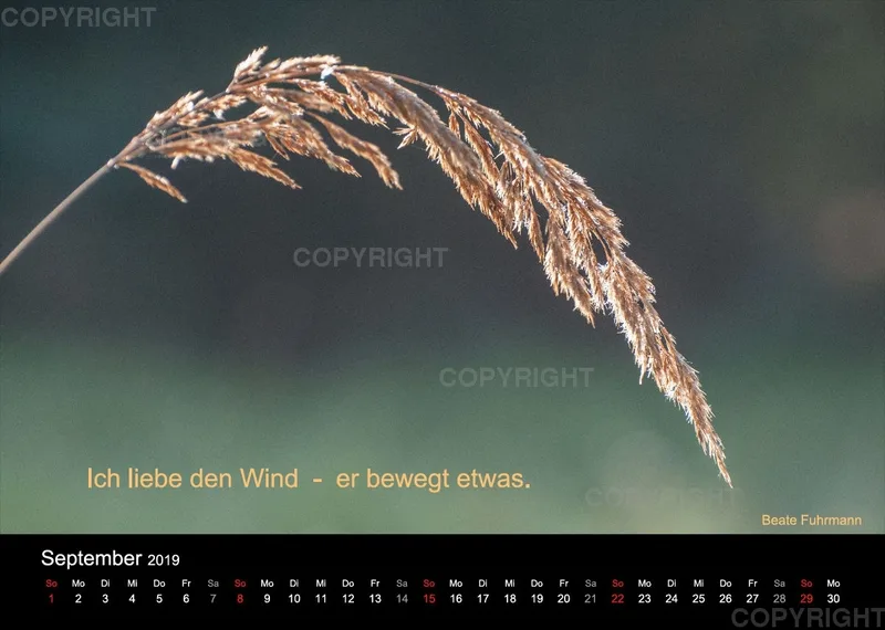 Fotokalender 2019