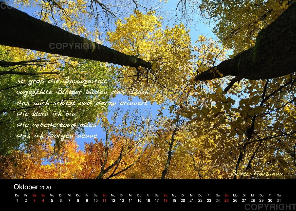 Fotokalender 2020