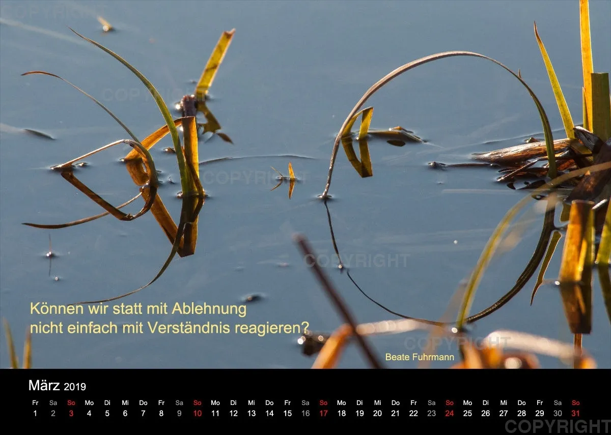 Fotokalender 2019