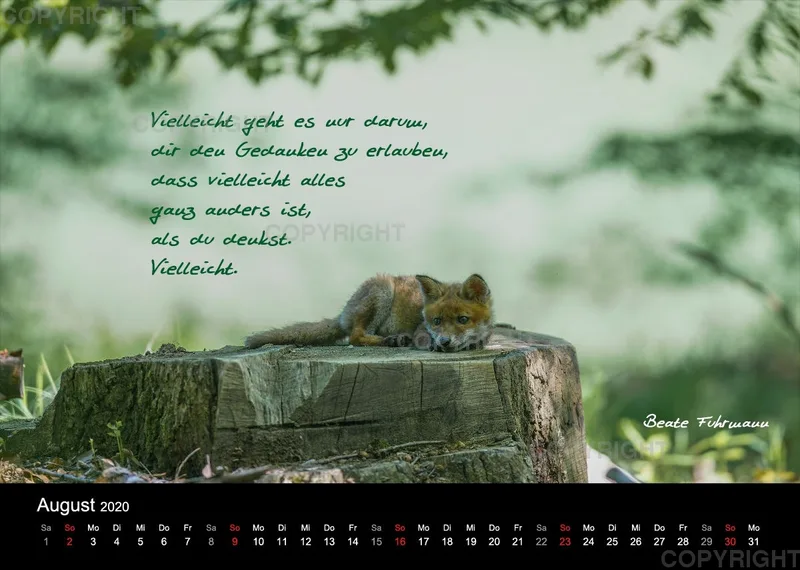 Fotokalender 2020