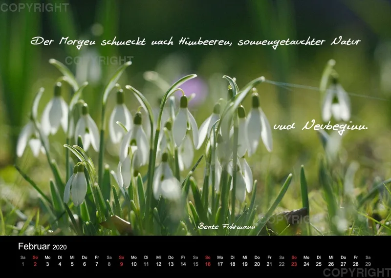 Fotokalender 2020