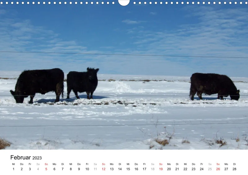 Bertman's Kalender 5 - Tiere