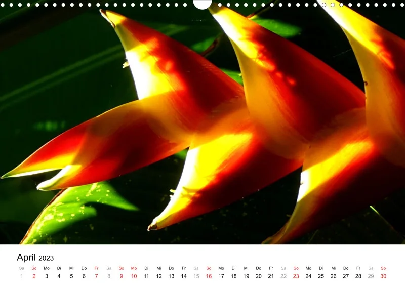Bertman's Kalender 3 - Botanik