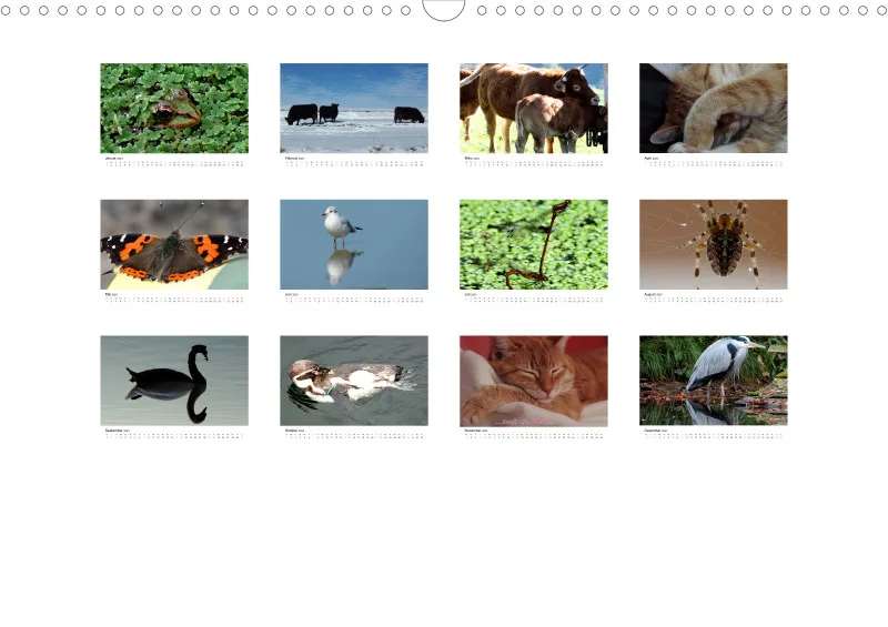 Bertman's Kalender 5 - Tiere