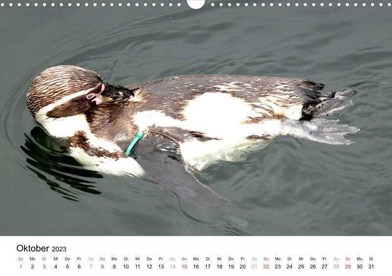 Bertman's Kalender 5 - Tiere
