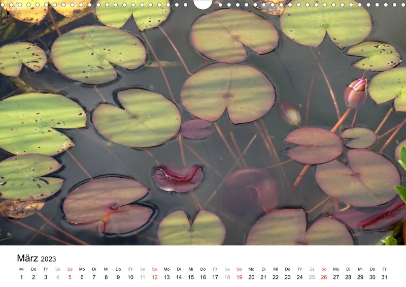 Bertman's Kalender 3 - Botanik