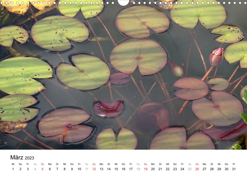 Bertman's Kalender 3 - Botanik