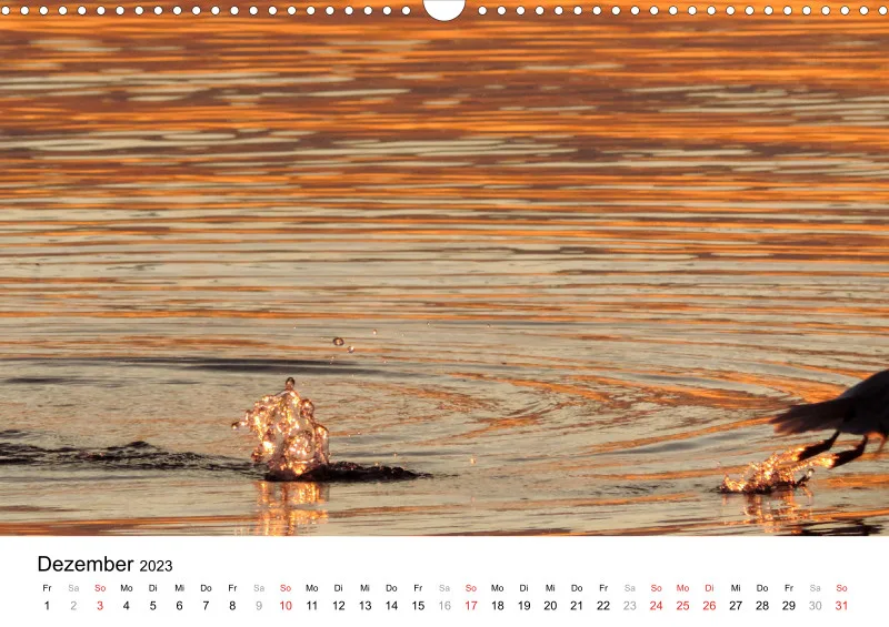 Bertman's Kalender 3 - Botanik