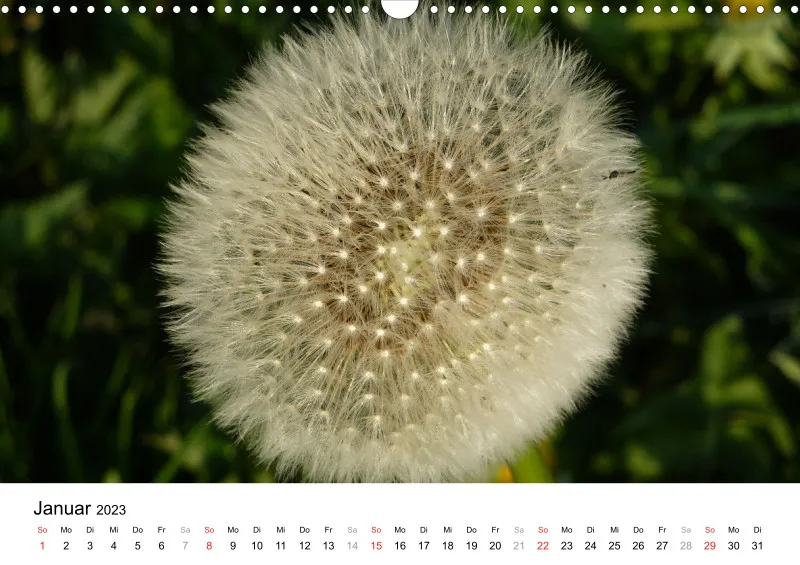 Bertman's Kalender 3 - Botanik
