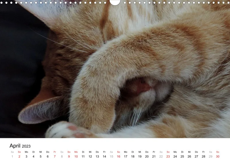 Bertman's Kalender 5 - Tiere