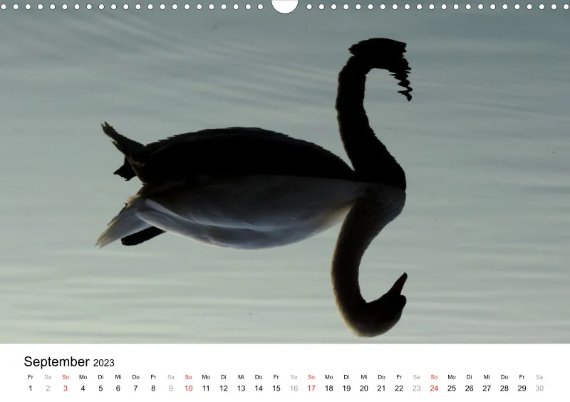 Bertman's Kalender 5 - Tiere