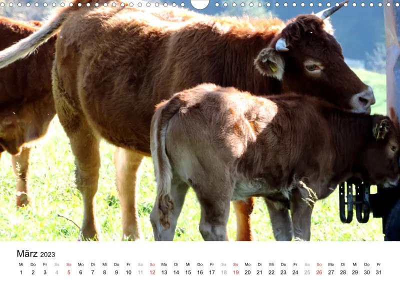 Bertman's Kalender 5 - Tiere