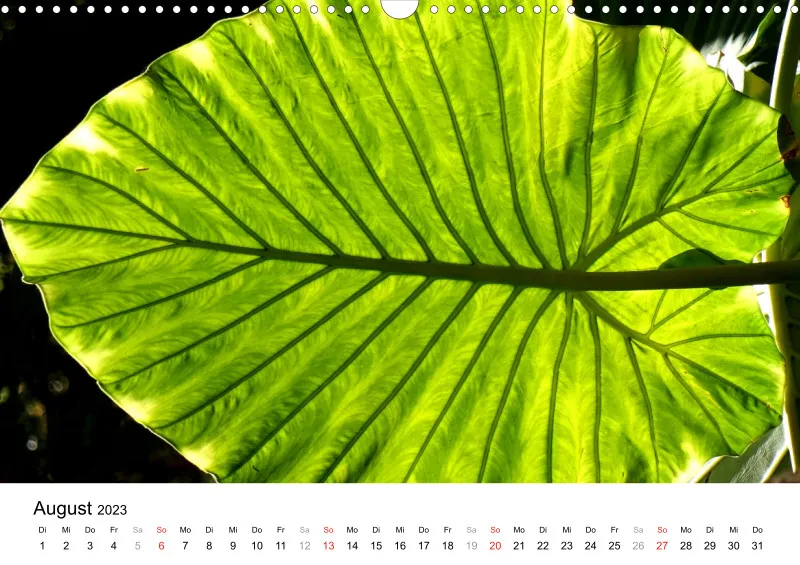 Bertman's Kalender 3 - Botanik