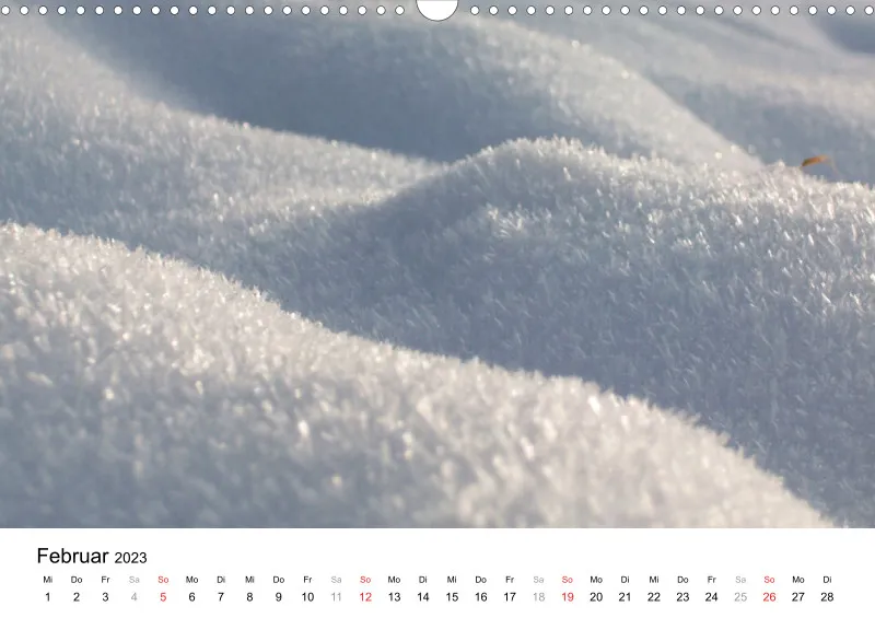 Bertman's Kalender 3 - Botanik