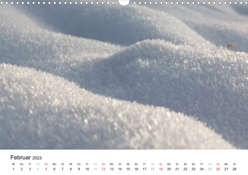 Bertman's Kalender 3 - Botanik