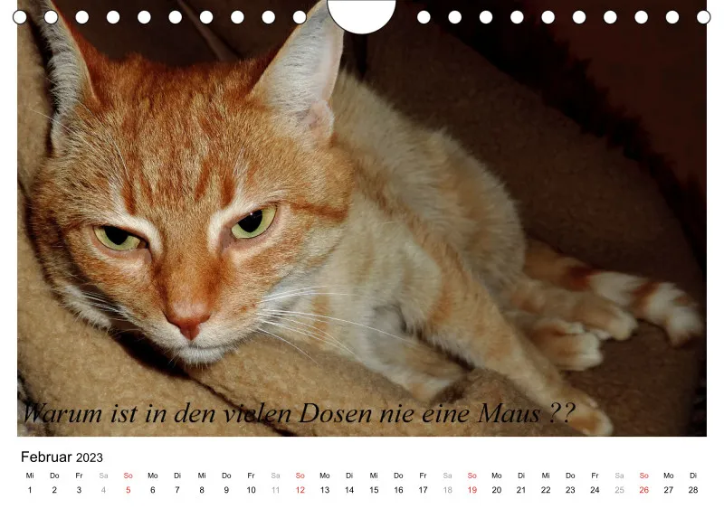 Bertman's Kalender 6