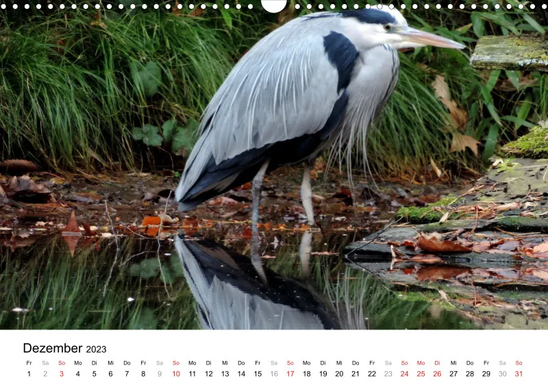 Bertman's Kalender 5 - Tiere
