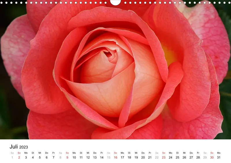 Bertman's Kalender 3 - Botanik
