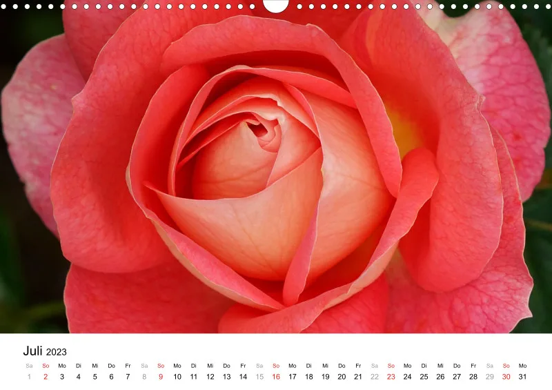 Bertman's Kalender 3 - Botanik