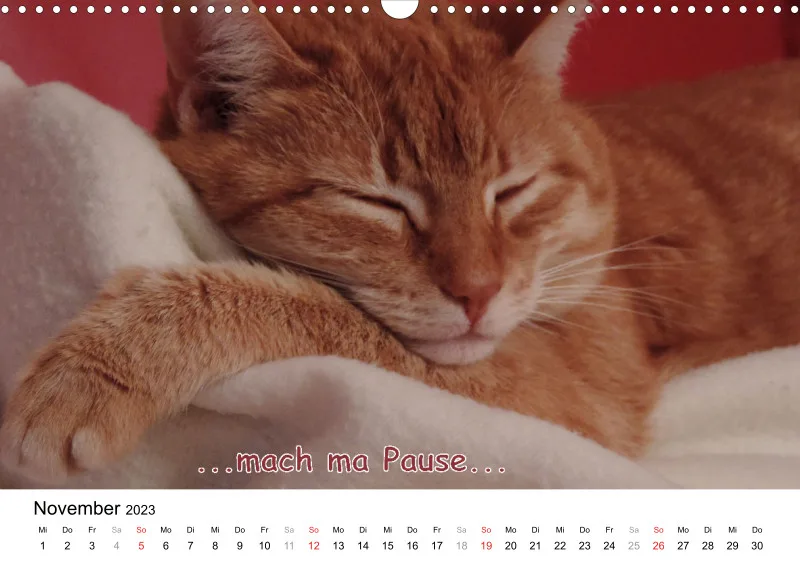 Bertman's Kalender 5 - Tiere