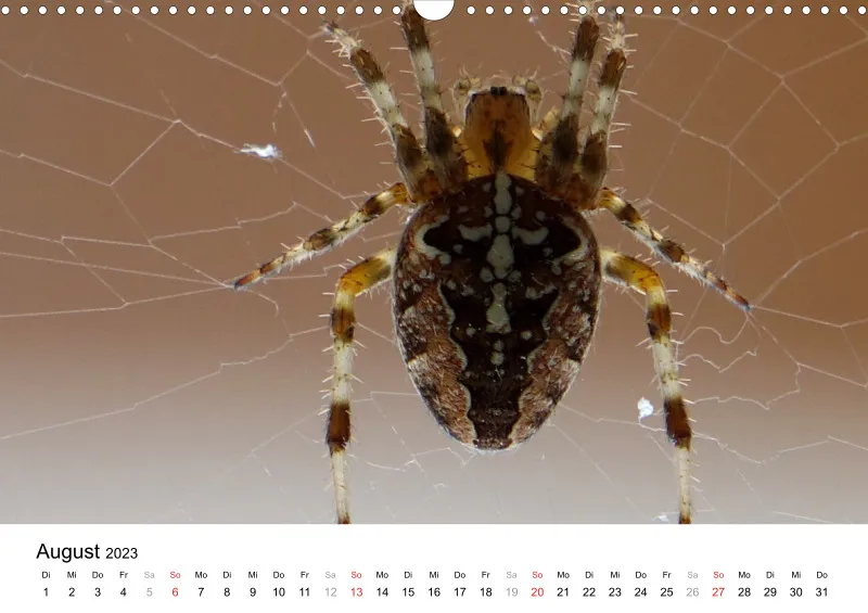 Bertman's Kalender 5 - Tiere
