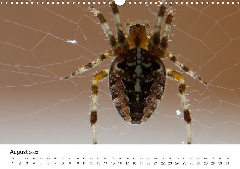 Bertman's Kalender 5 - Tiere
