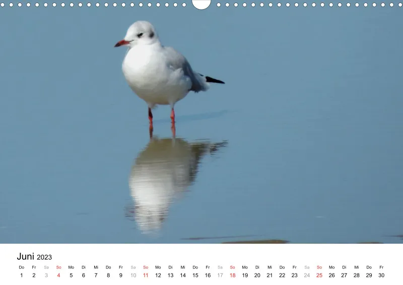 Bertman's Kalender 5 - Tiere