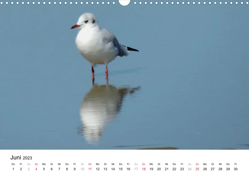 Bertman's Kalender 5 - Tiere