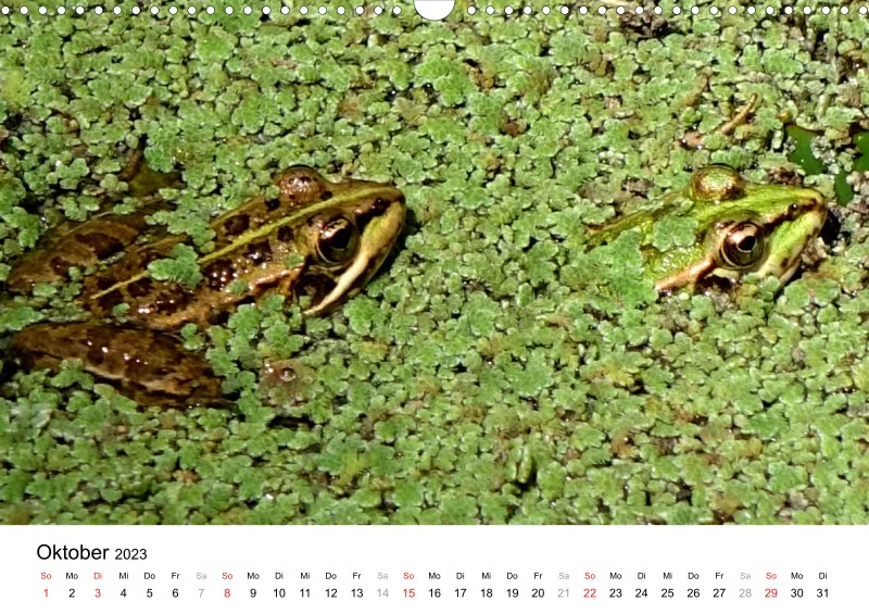Bertman's Kalender 3 - Botanik
