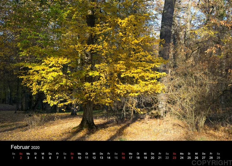 Naturkalender 2020