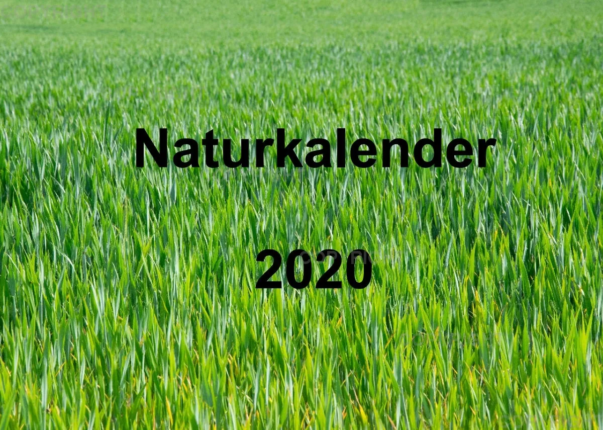 Naturkalender 2020