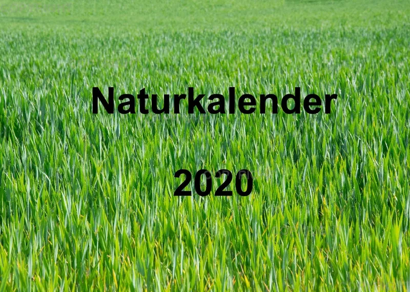 Naturkalender 2020