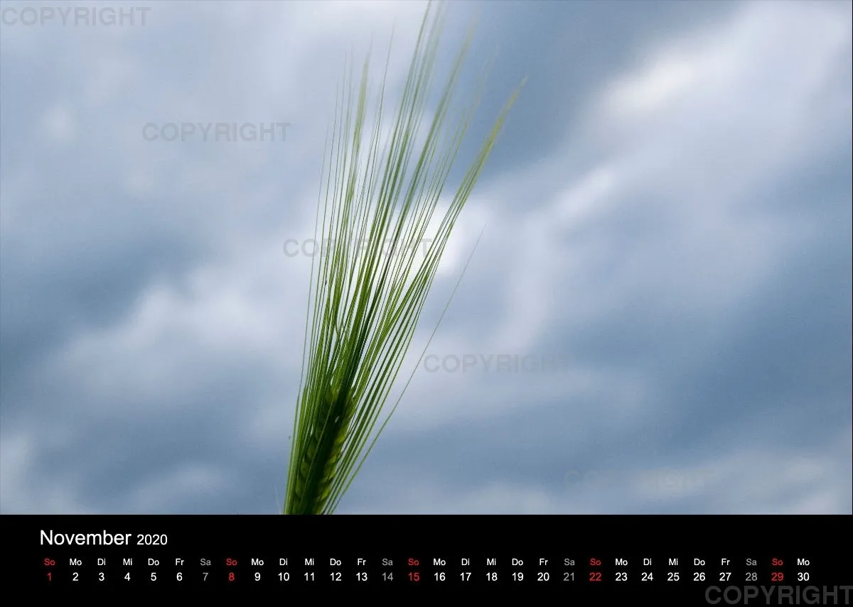 Naturkalender 2020