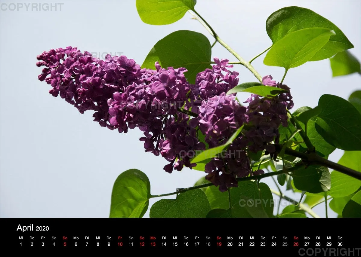 Naturkalender 2020