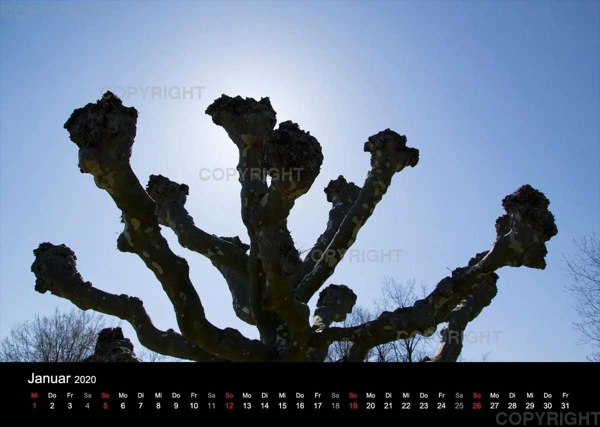 Naturkalender 2020