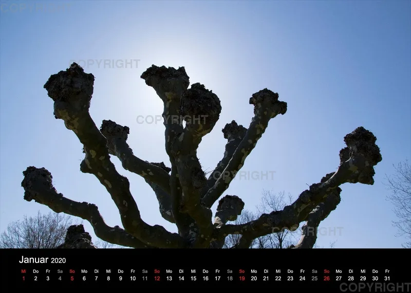 Naturkalender 2020